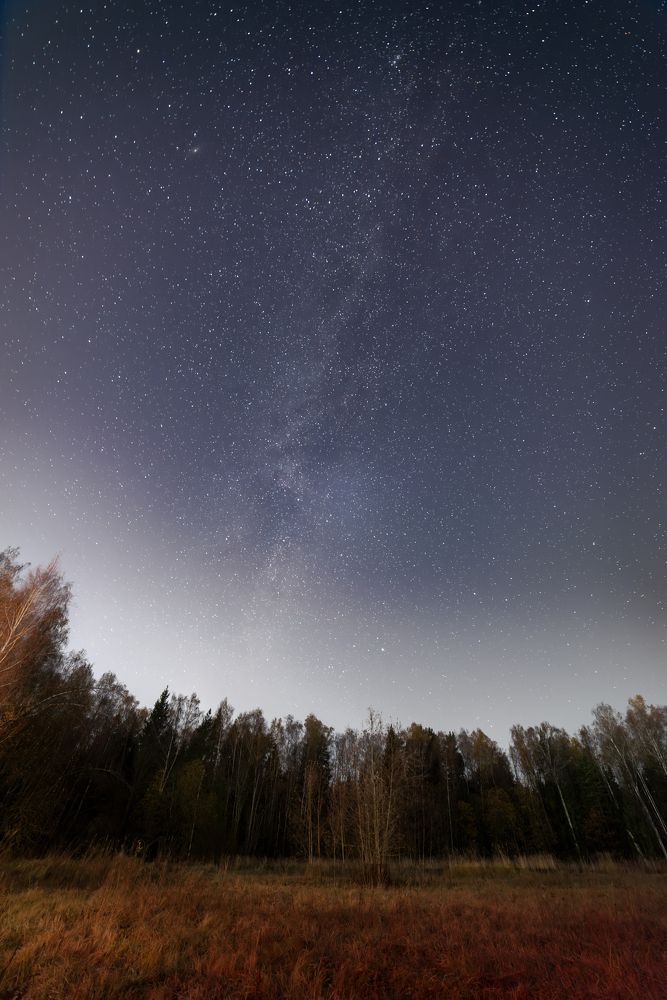 Photograph by Артем Алхимов