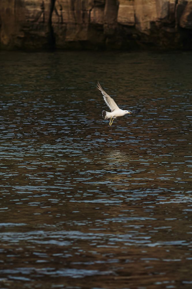 Photograph by Олег Мороз