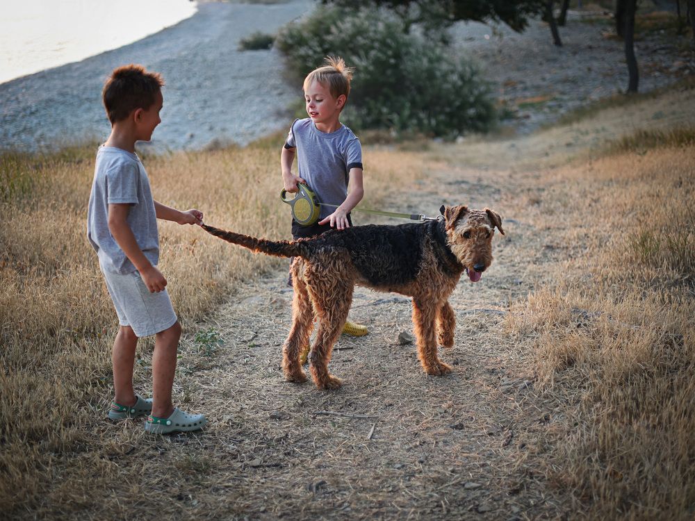 Photograph by Ольга Зиброва