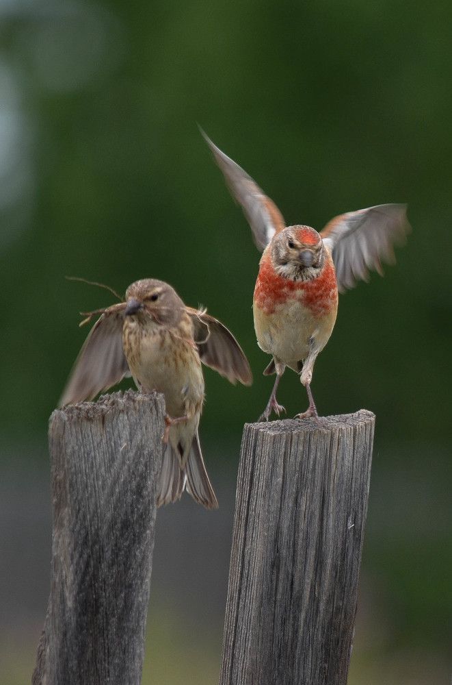 Photograph by Ольга Мокрова