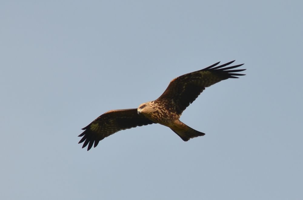 Photograph by Ольга Мокрова