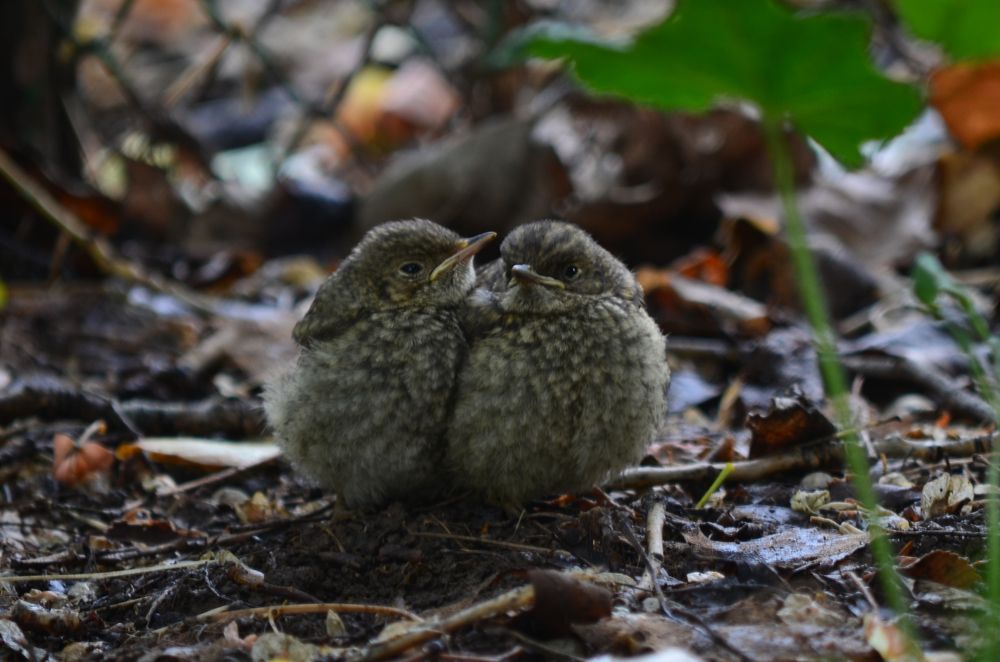 Photograph by Ольга Мокрова