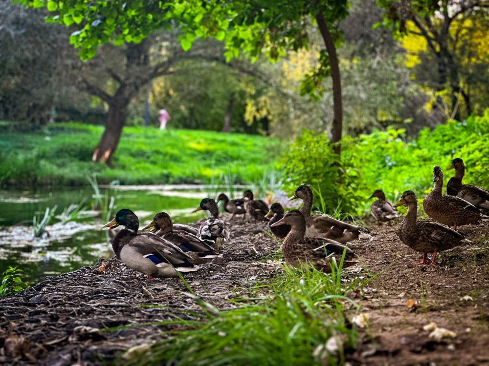 Photograph by Екатерина Слепнева