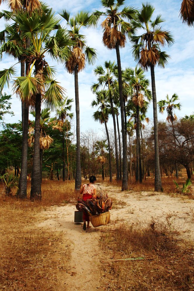 Photograph by Наталья Суслова