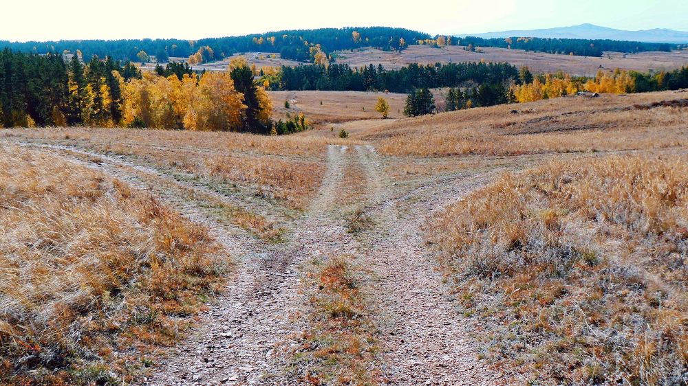 Photograph by Емельянов Евгений