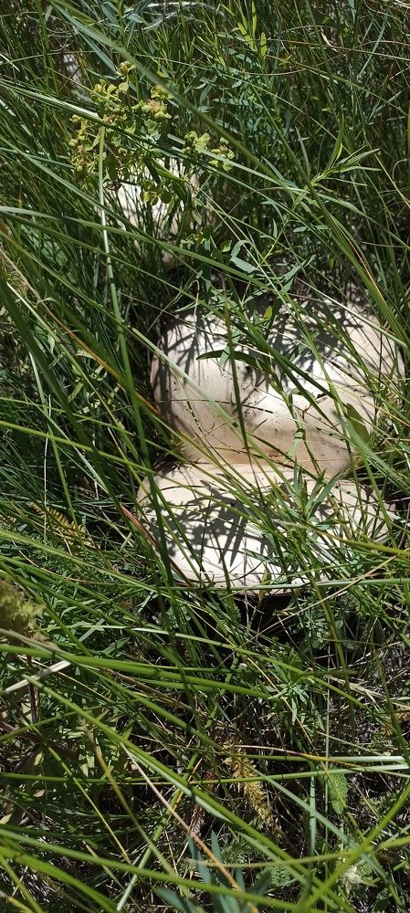 Photograph by Наталья Абдулова