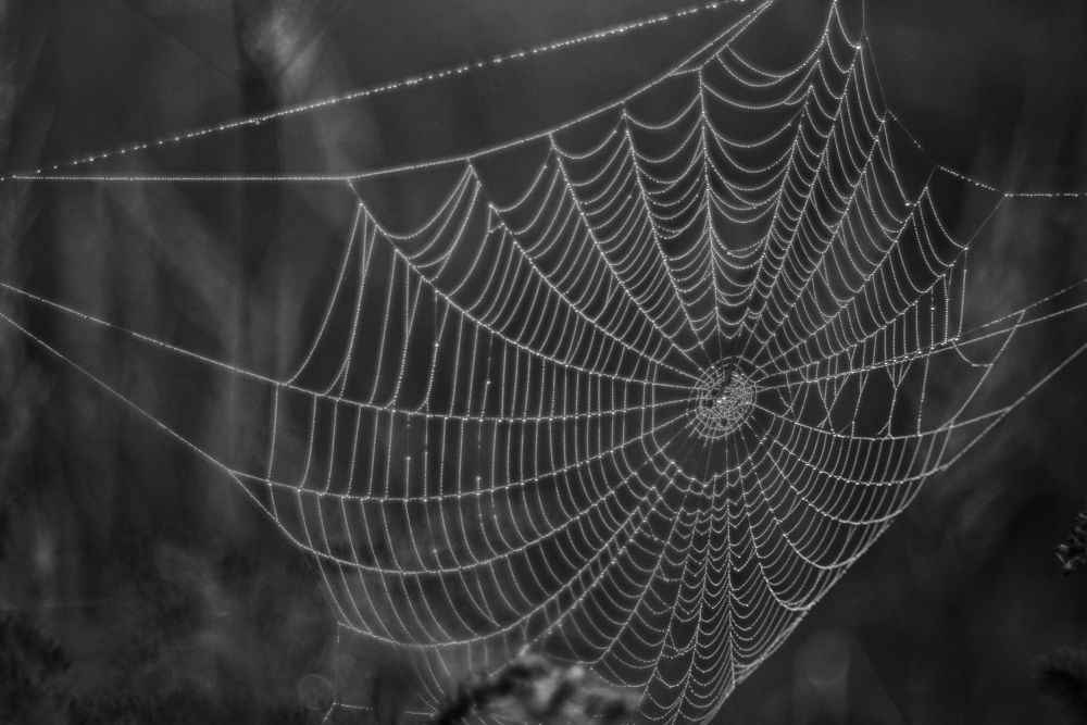 Photograph by Владимир Леликов-Кузьменко