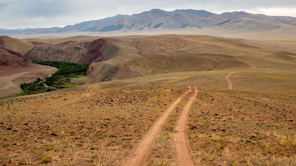 Photograph by Елена Данченко