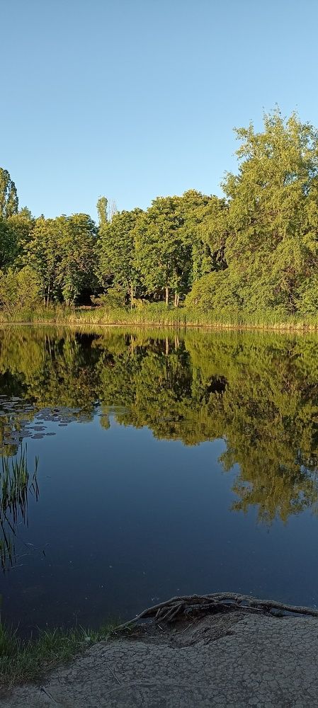 Photograph by Наталья Абдулова