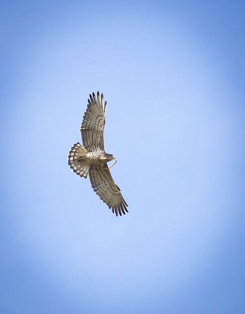 Photograph by Дмитрий Черепков