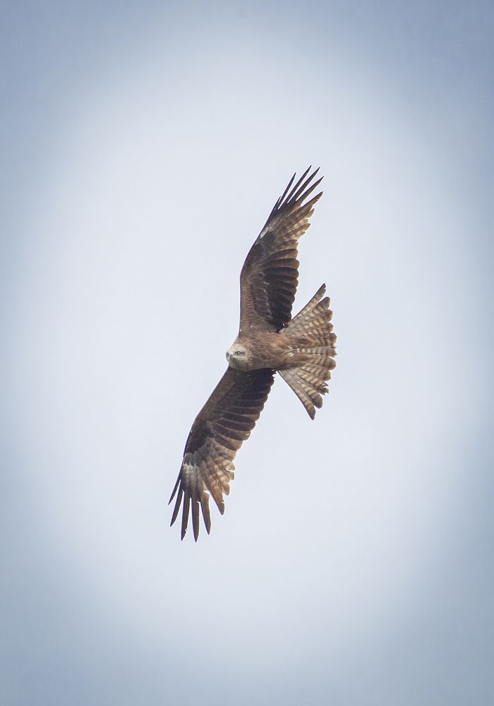 Photograph by Дмитрий Черепков