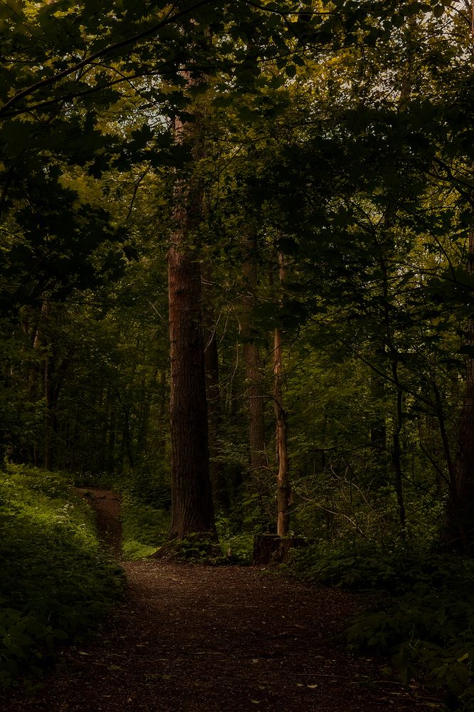 Photograph by Михаил Мак