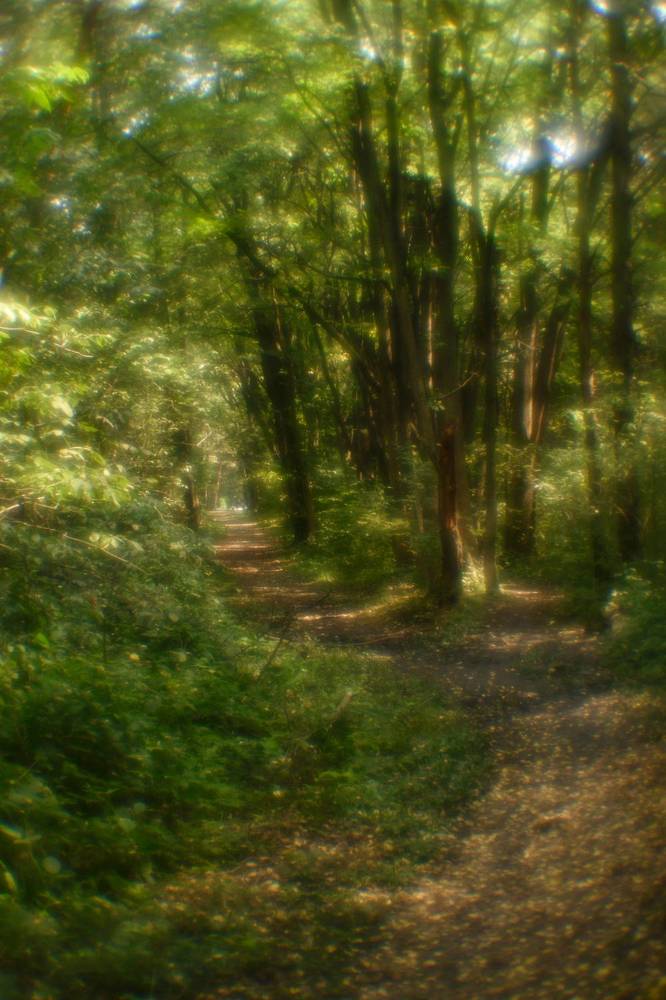 Photograph by Владимир Леликов-Кузьменко