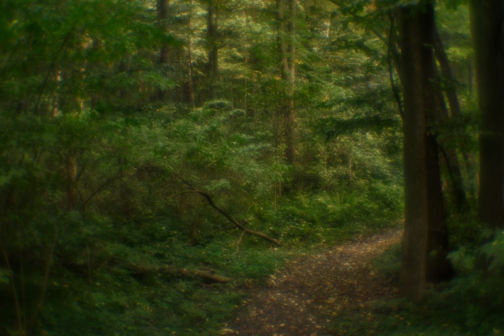 Photograph by Владимир Леликов-Кузьменко