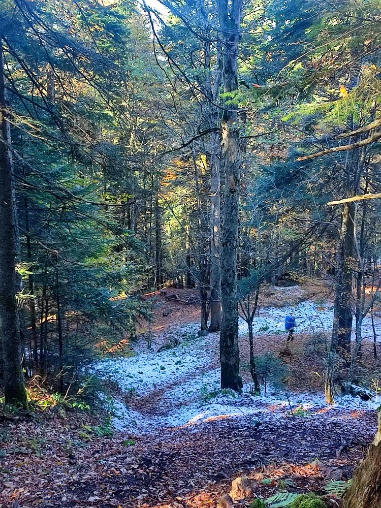 Photograph by Юлия Гинтер