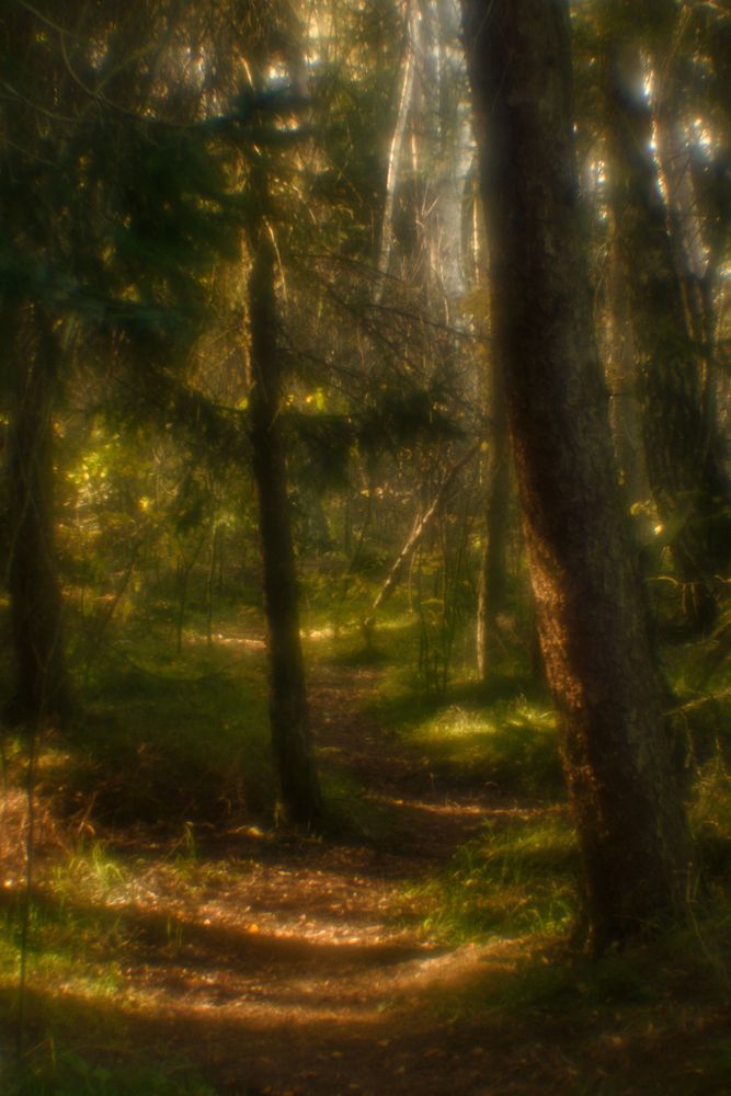 Photograph by Владимир Леликов-Кузьменко