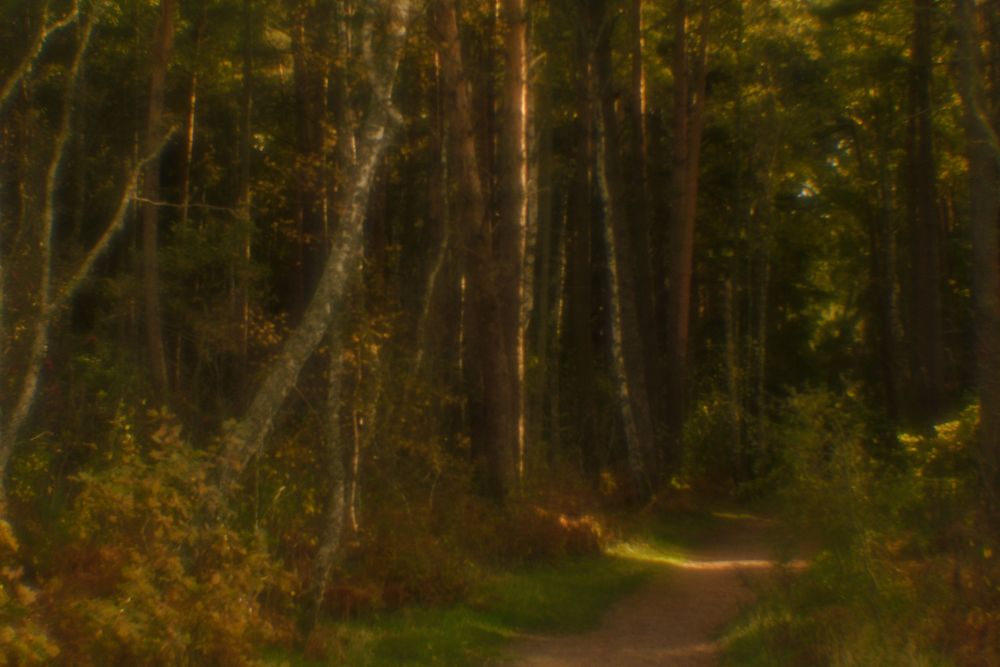 Photograph by Владимир Леликов-Кузьменко