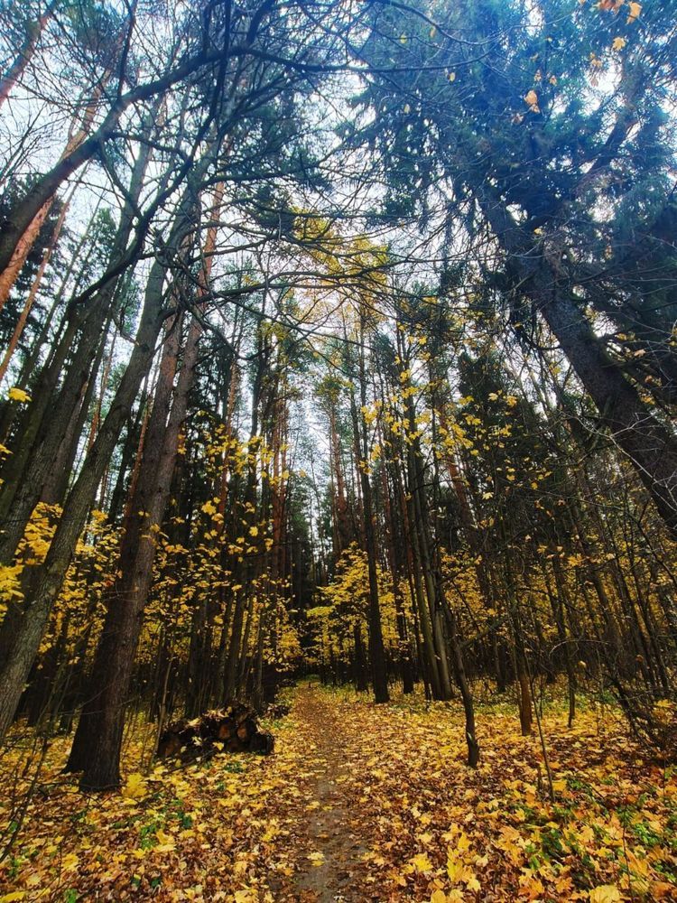 Photograph by Наталья