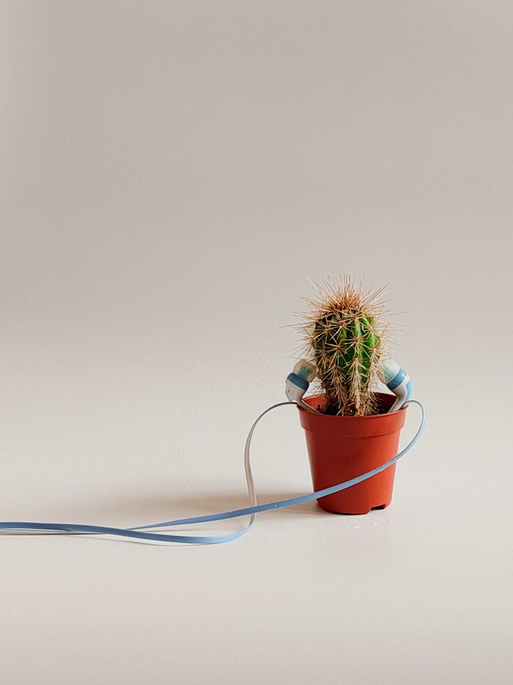 Photograph by Алия Латыйпова