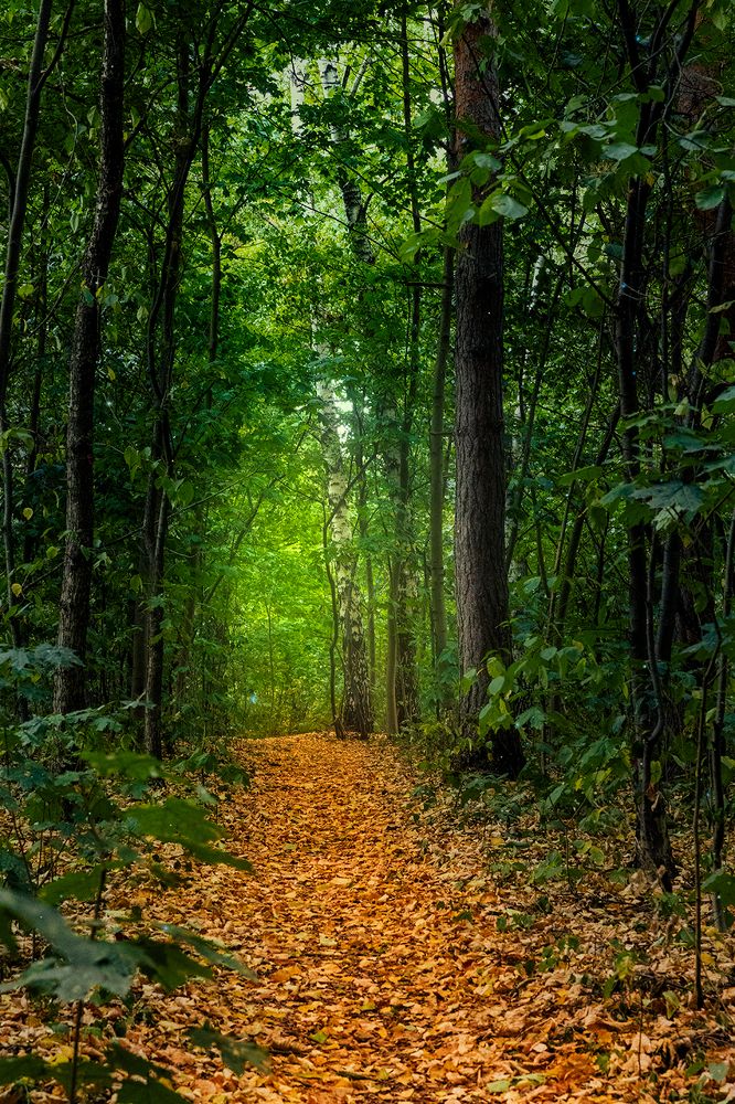 Photograph by Михаил Мак