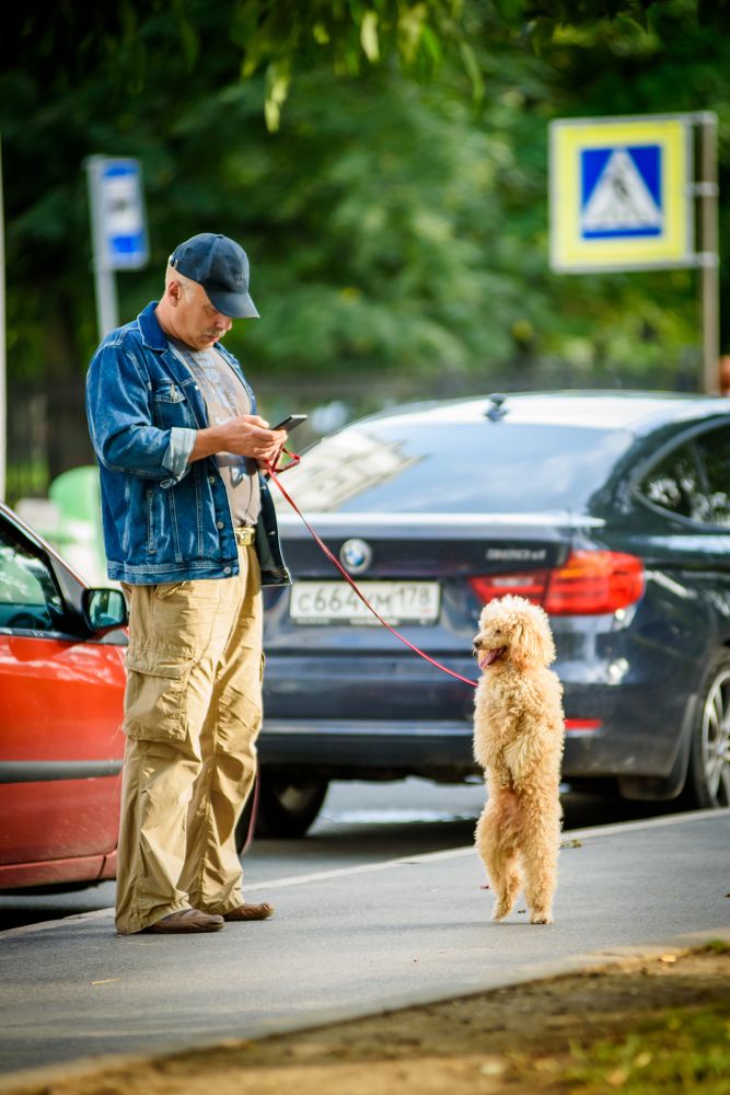 Photograph by Иванюшкин Никита
