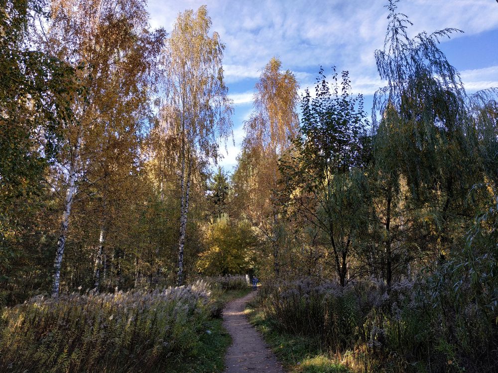 Photograph by Tatiana