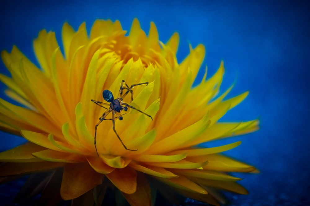 Photograph by Николай Фонарёв