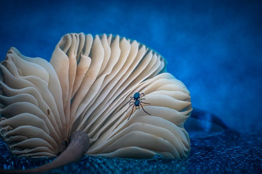 Photograph by Николай Фонарёв