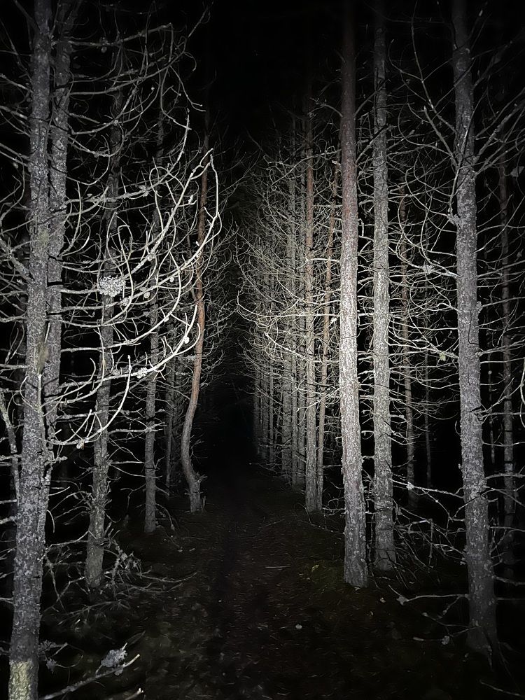 Photograph by Natalja Kimask