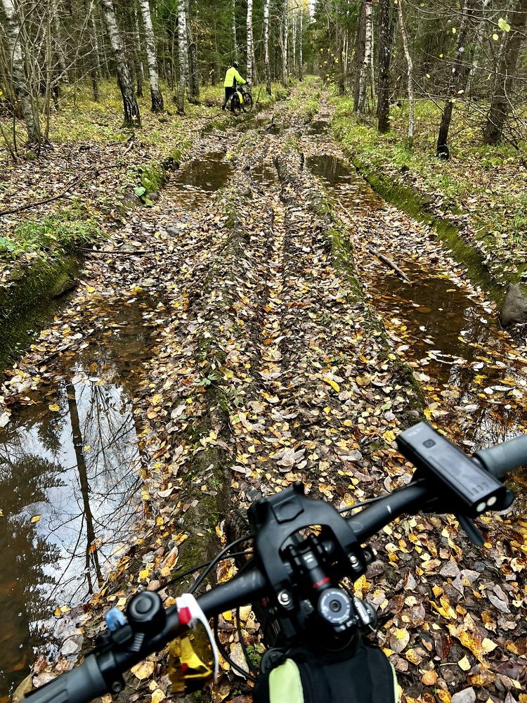 Photograph by Natalja Kimask