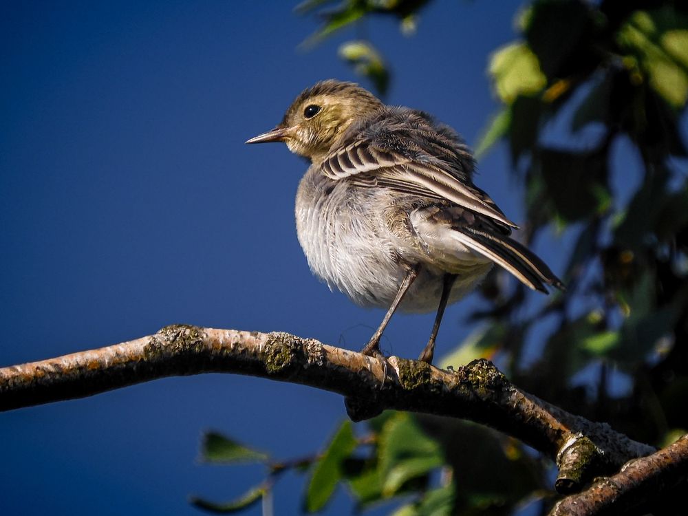 Photograph by Игорь Смирнов