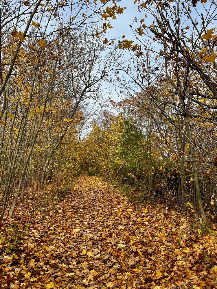 Photograph by Natalja Kimask