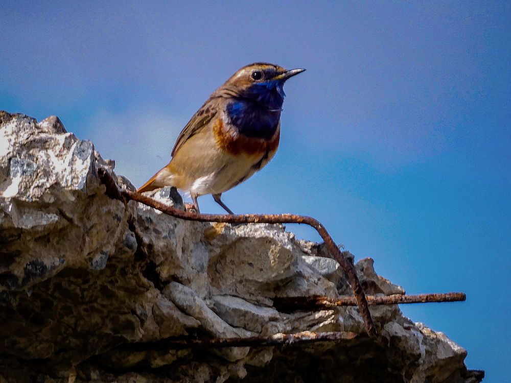 Photograph by Игорь Смирнов