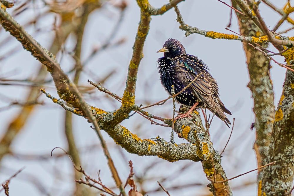 Photograph by Дмитрий Солодухин