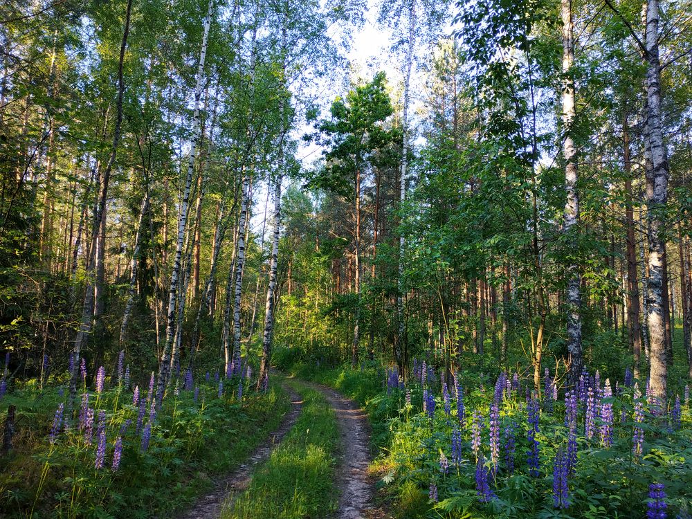 Photograph by Tatiana