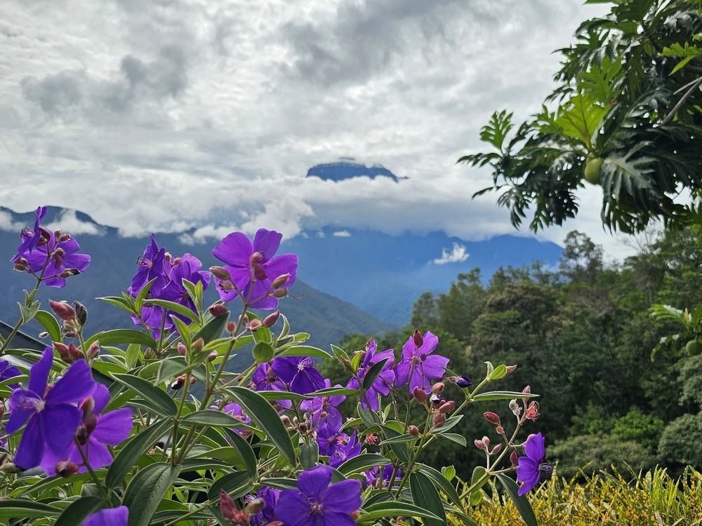 Photograph by Вадим Богатиков