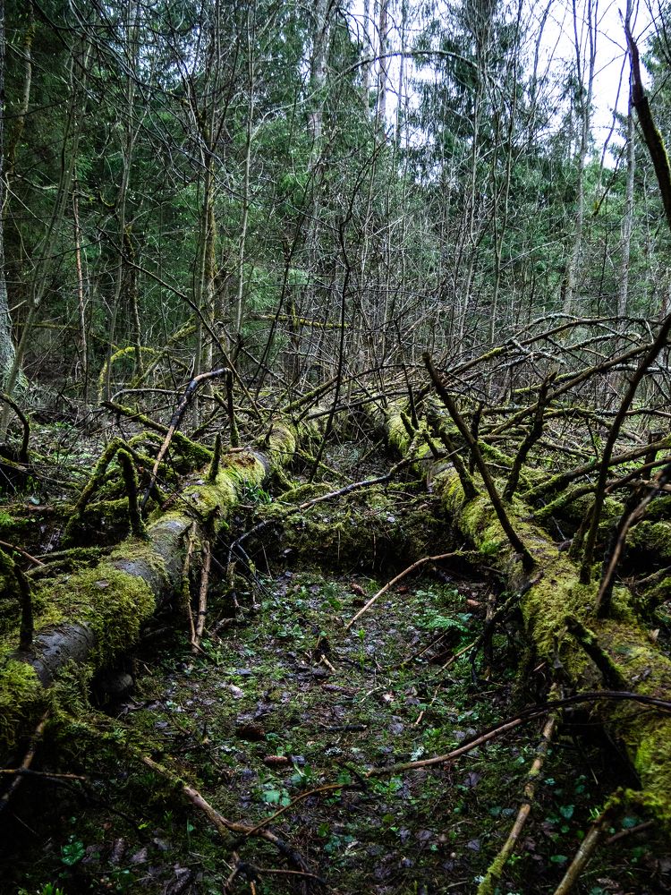 Фотография автора Евгений Величко
