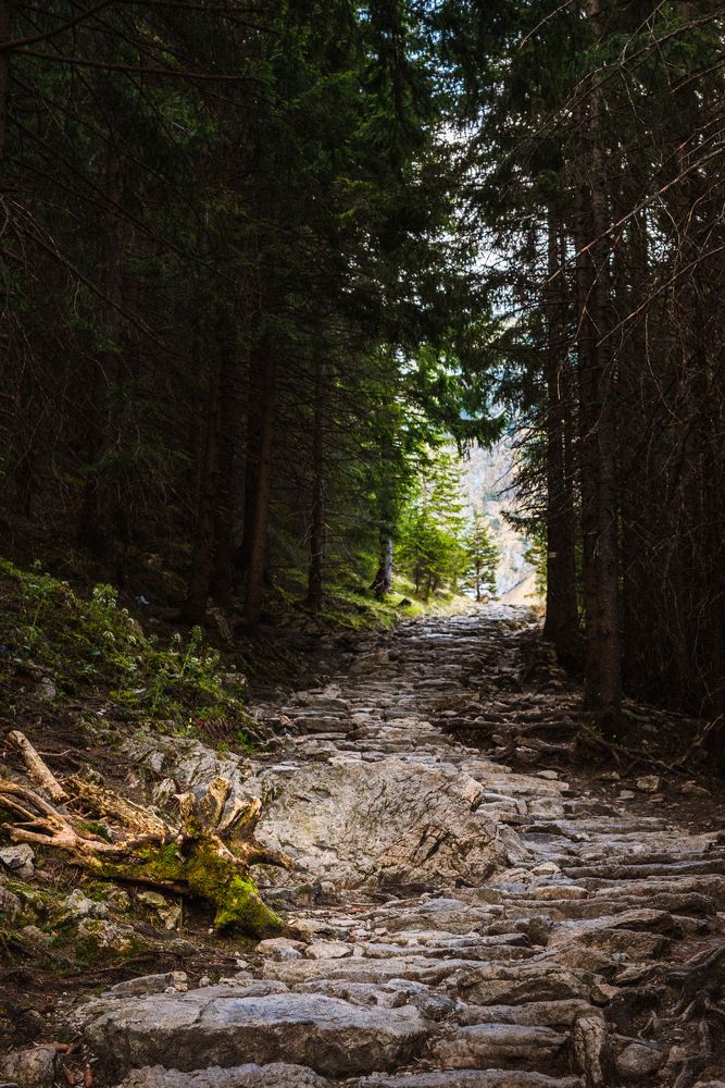 Photograph by Kononov Anatolii