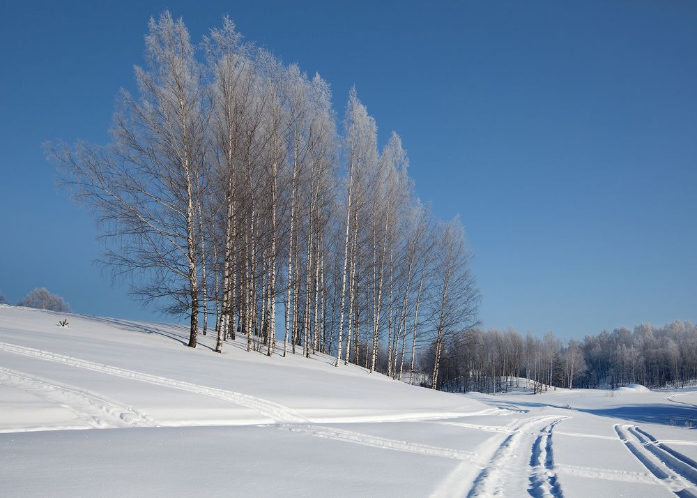 Photograph by Наталья Суслова