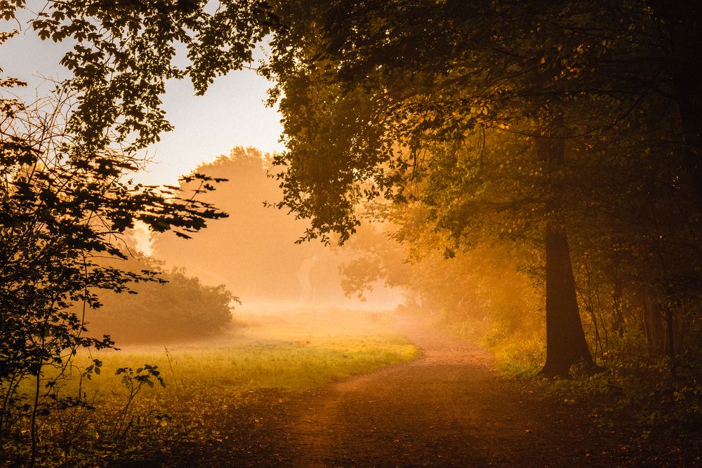 Photograph by Kononov Anatolii