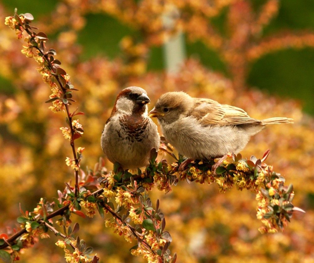 Photograph by Agita Leimane