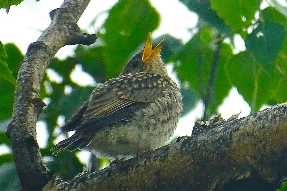 Photograph by Станислав Карташов