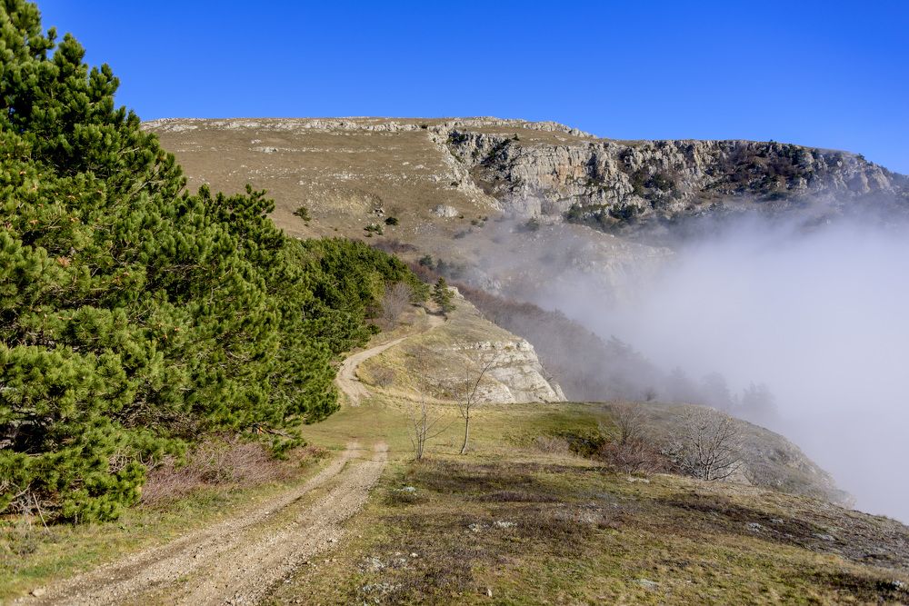 Photograph by Будаква Сергей