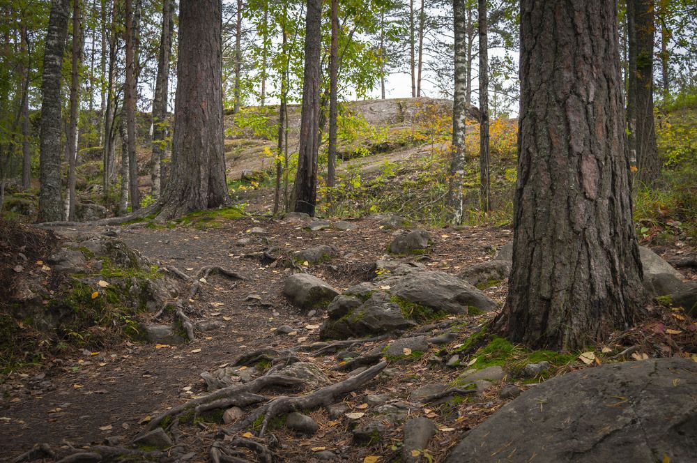 Photograph by Сергей Филатов