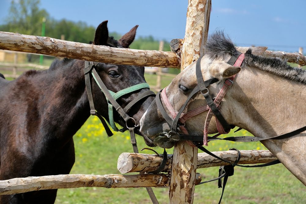 Photograph by Ильдар Балеев