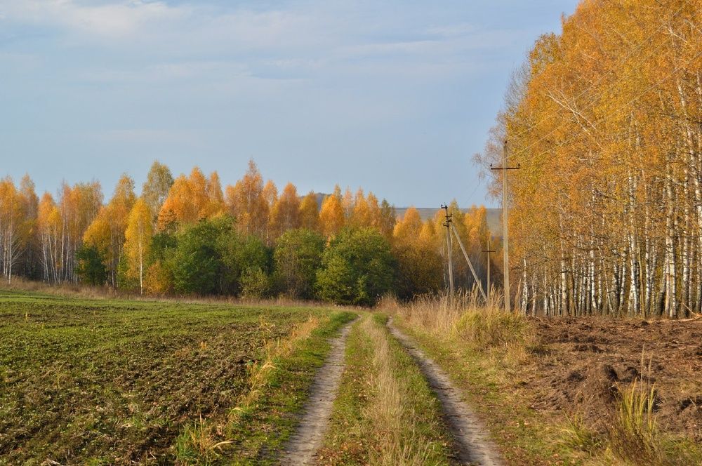 Photograph by Анна Богданова