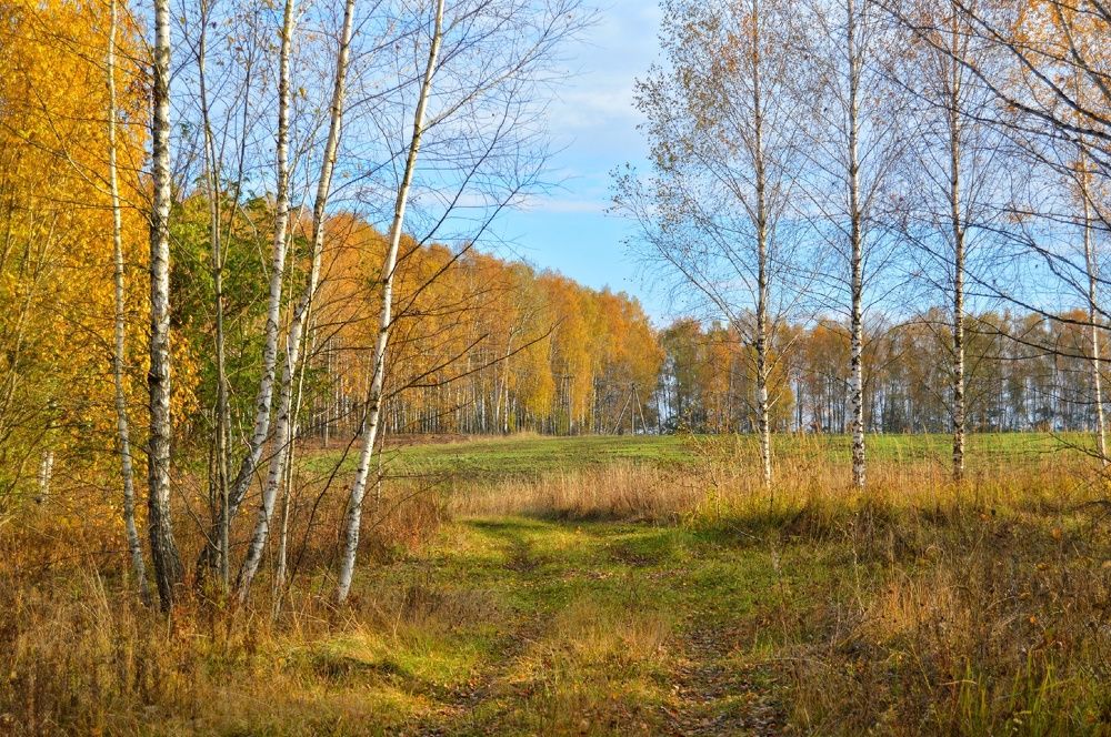 Photograph by Анна Богданова