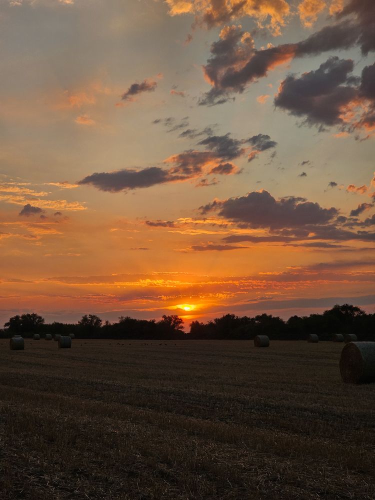 Photograph by Irina Chka