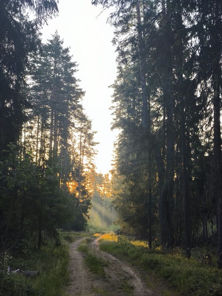 Вдохновение