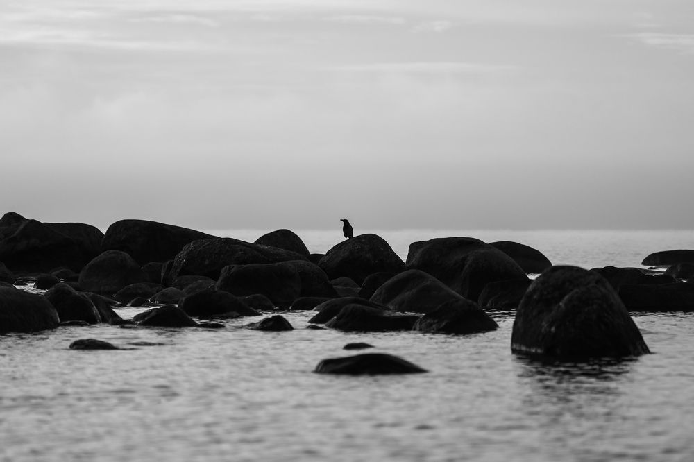 Photograph by Sergei Komlev